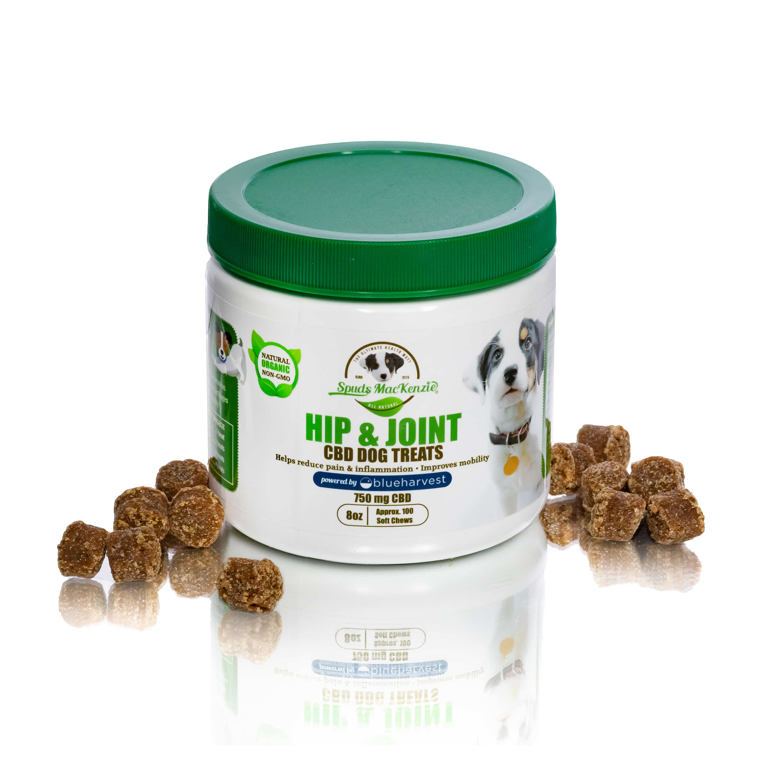 hemp dog chews